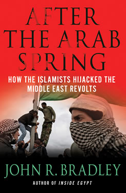 After-the-arab-spring-how-the-islamists-hijacked-the-middle-east-revolt