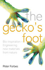 The-geckos-foot